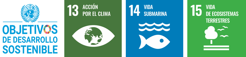 ODS Día Mundial del Reciclaje ODS Día Mundial del Reciclaje