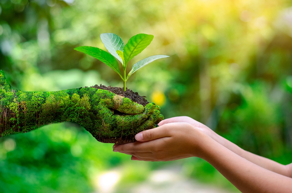 dia mundial medio ambiente dia mundial medio ambiente