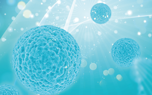 Coronavirus Coronavirus
