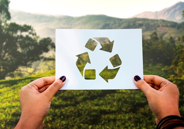 reciclar en tu empresa reciclar en tu empresa