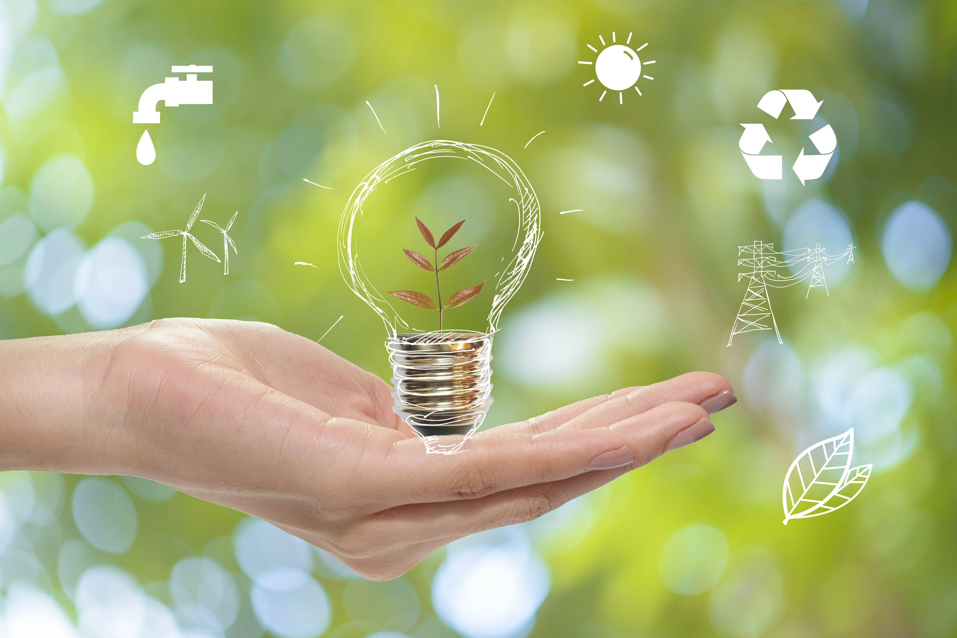 Día mundial del medioambiente