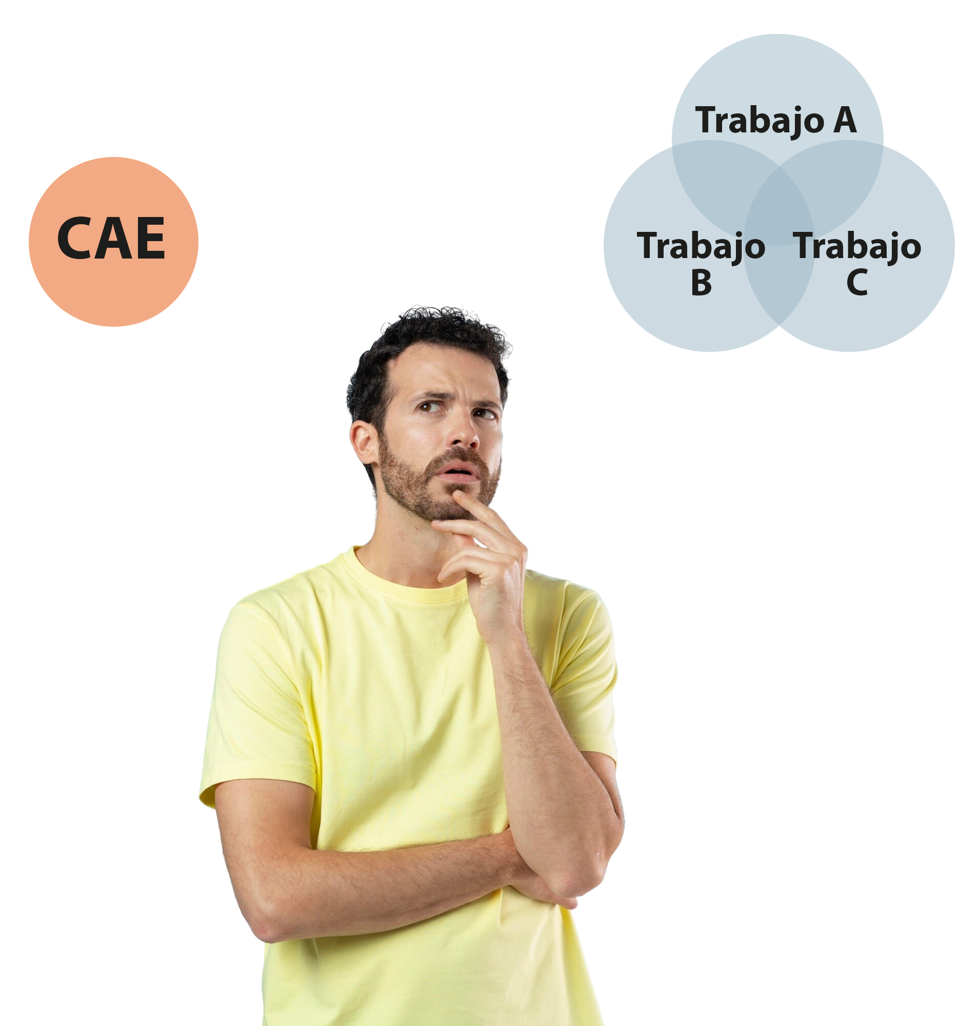 coordinacion empresas