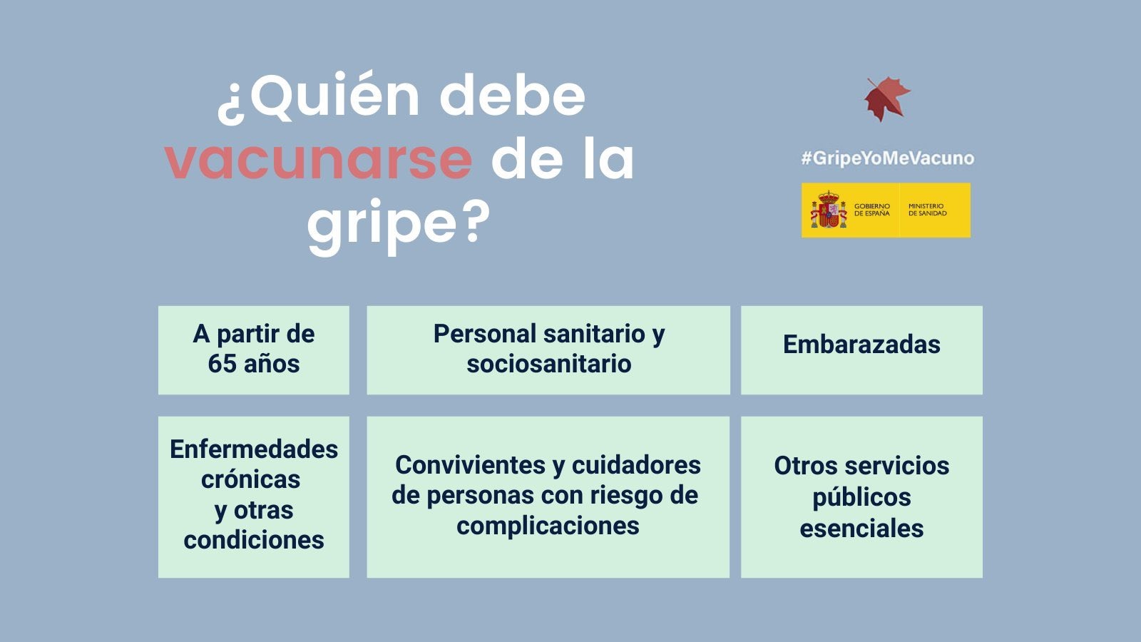 Conoce quién debe vacunarse contra la gripe según indicaciones del Ministerio de Sanidad Conoce quién debe vacunarse contra la gripe según indicaciones del Ministerio de Sanidad