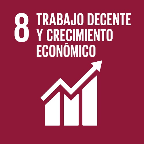Objetivo 8: Trabajo decente y crecimiento económico Objetivo 8: Trabajo decente y crecimiento económico