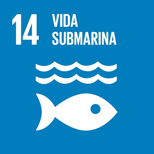 Objetivo 14: Vida submarina