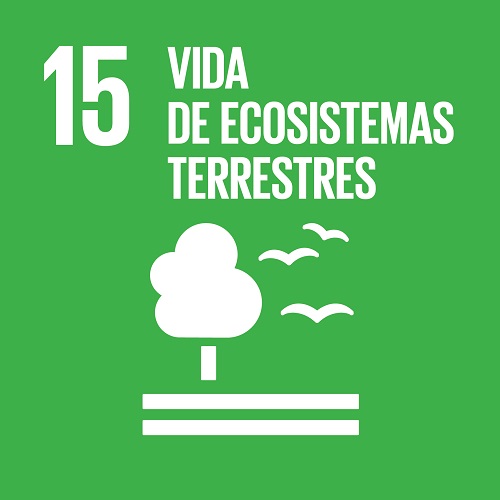 Obxectivo 15: Ecosistemas terrestres